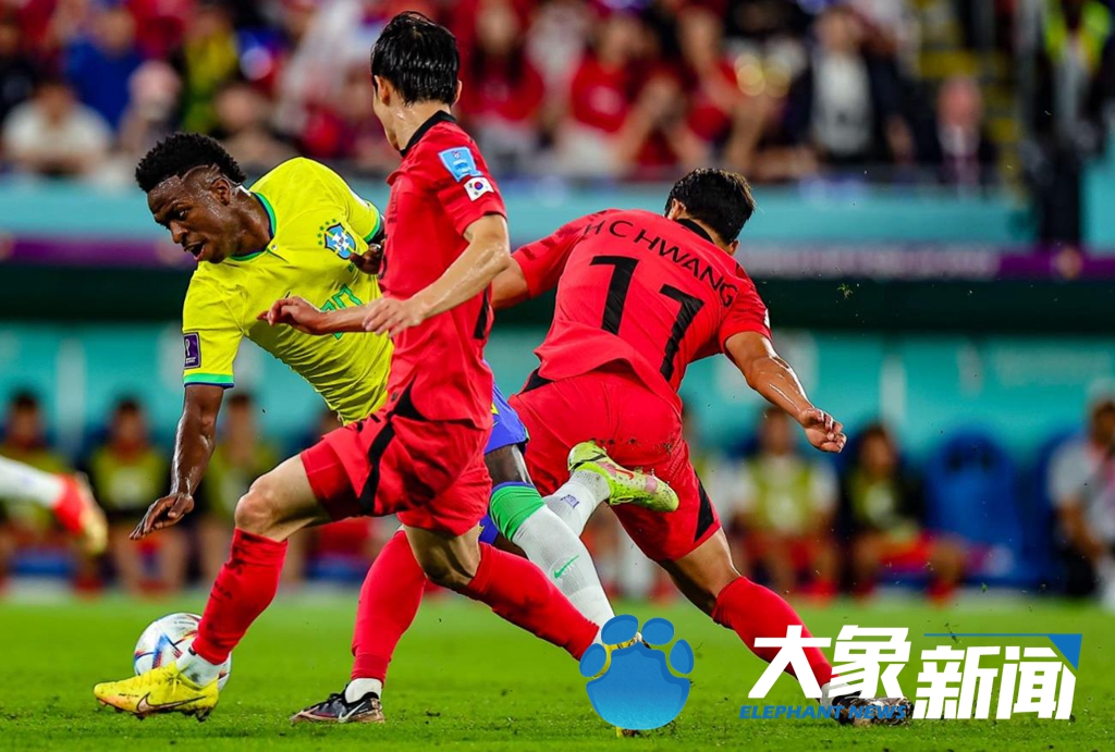 关于巴西队表现强势晋级世界杯八强人气足够的信息 关于巴西队表现强势晋级世界杯八强人气足够的信息