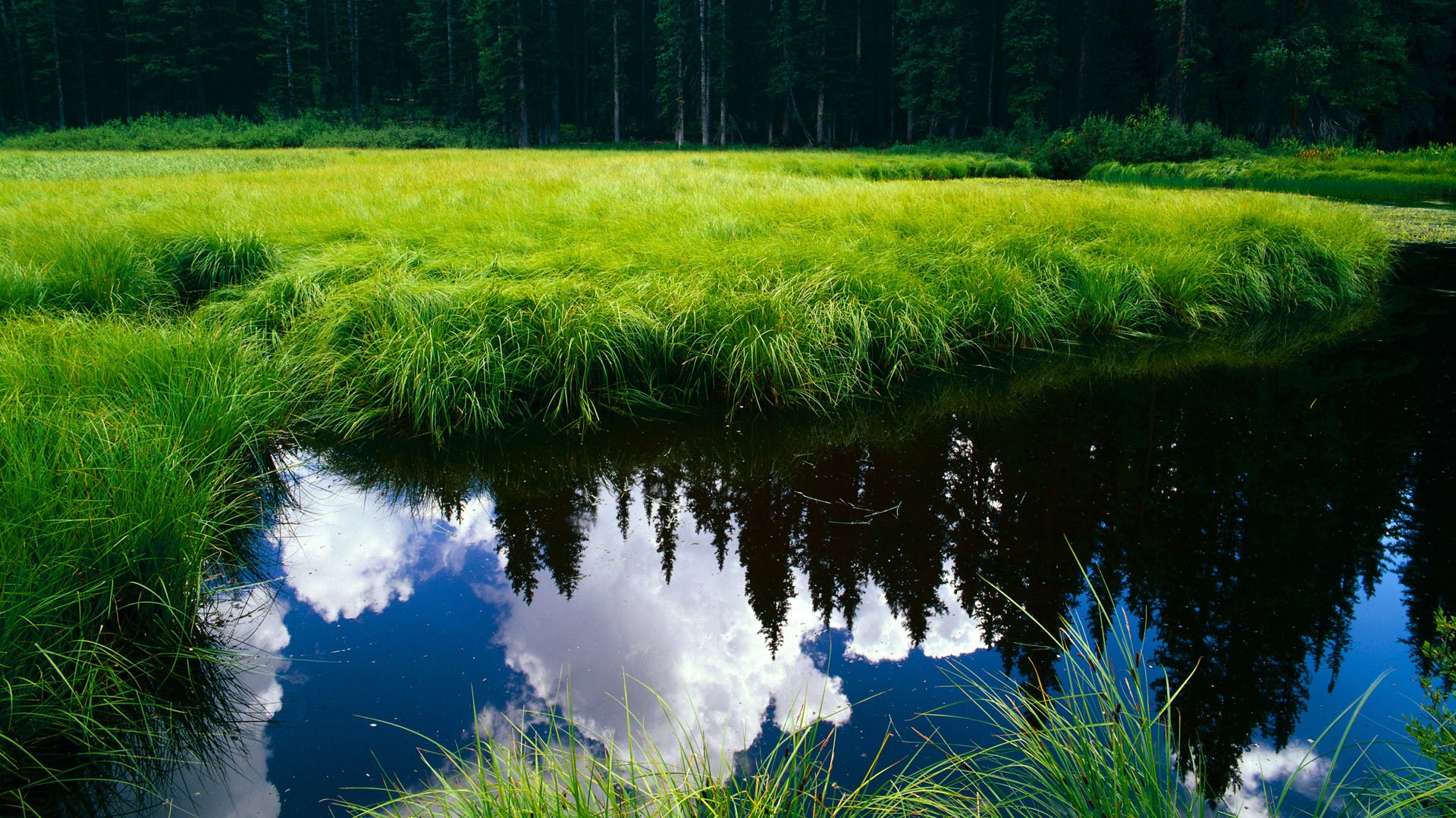 当东决遇见黄金一代,那晚,浙江队在量子篮球场翻盘国王