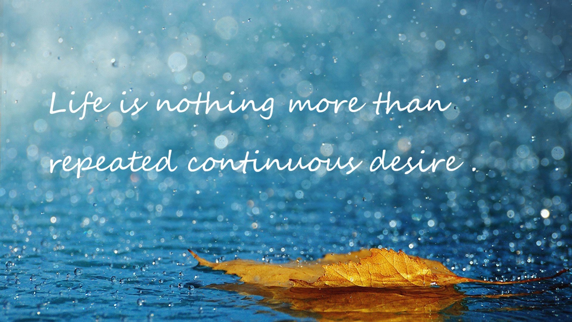 冰火盛宴,哈利伯顿东方大心脏与广厦铁血防反,如何重塑篮球世界观?