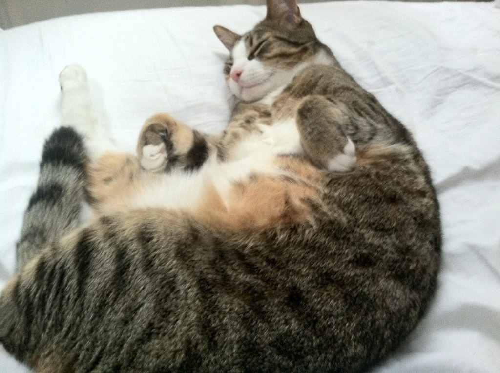 防线崩溃之夜,布克在活塞对阵鹈鹕的比赛中彻底打爆对手