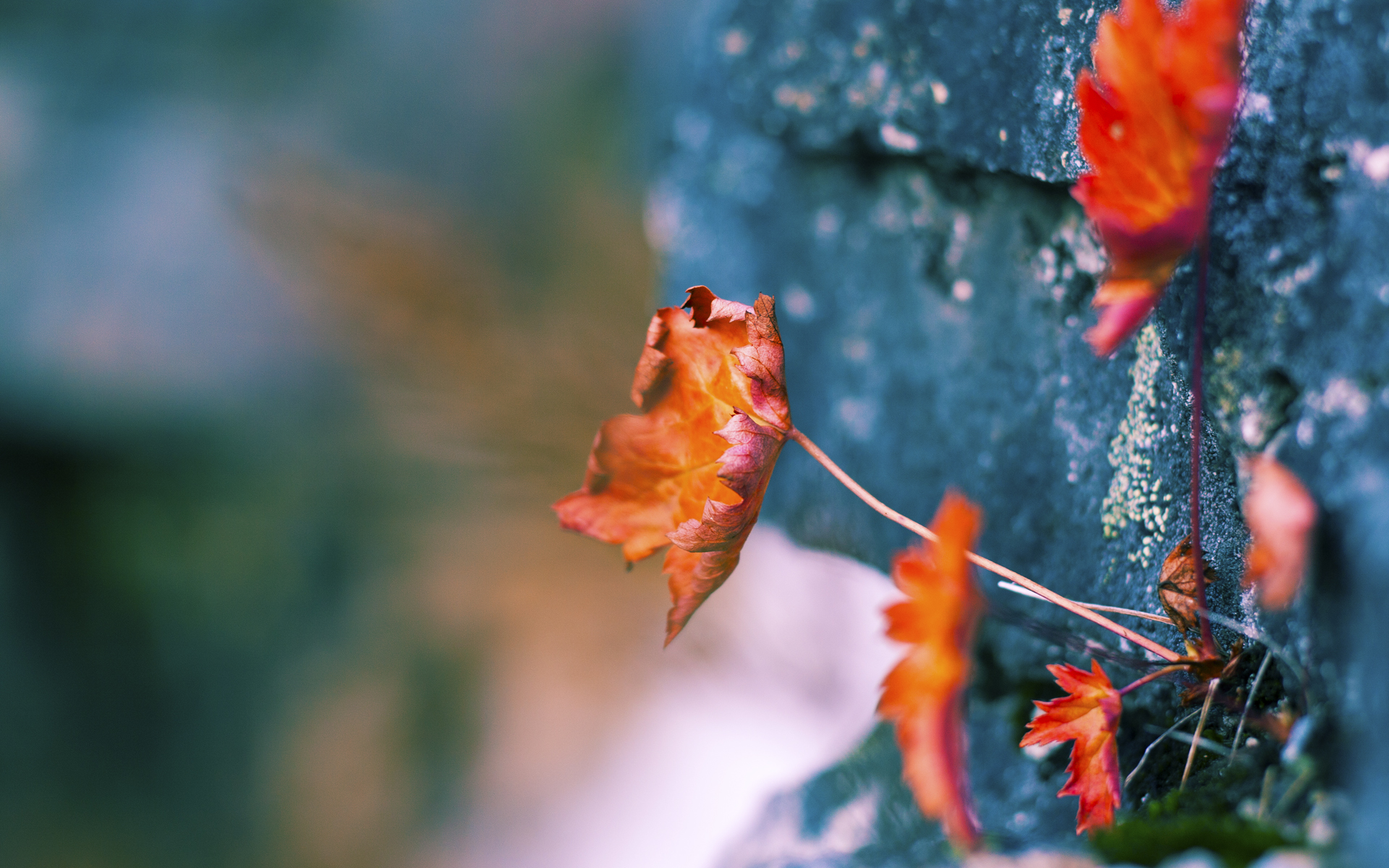 冰与火之歌，内马尔破咒定乾坤，冰岛节奏扼住马竞咽喉
