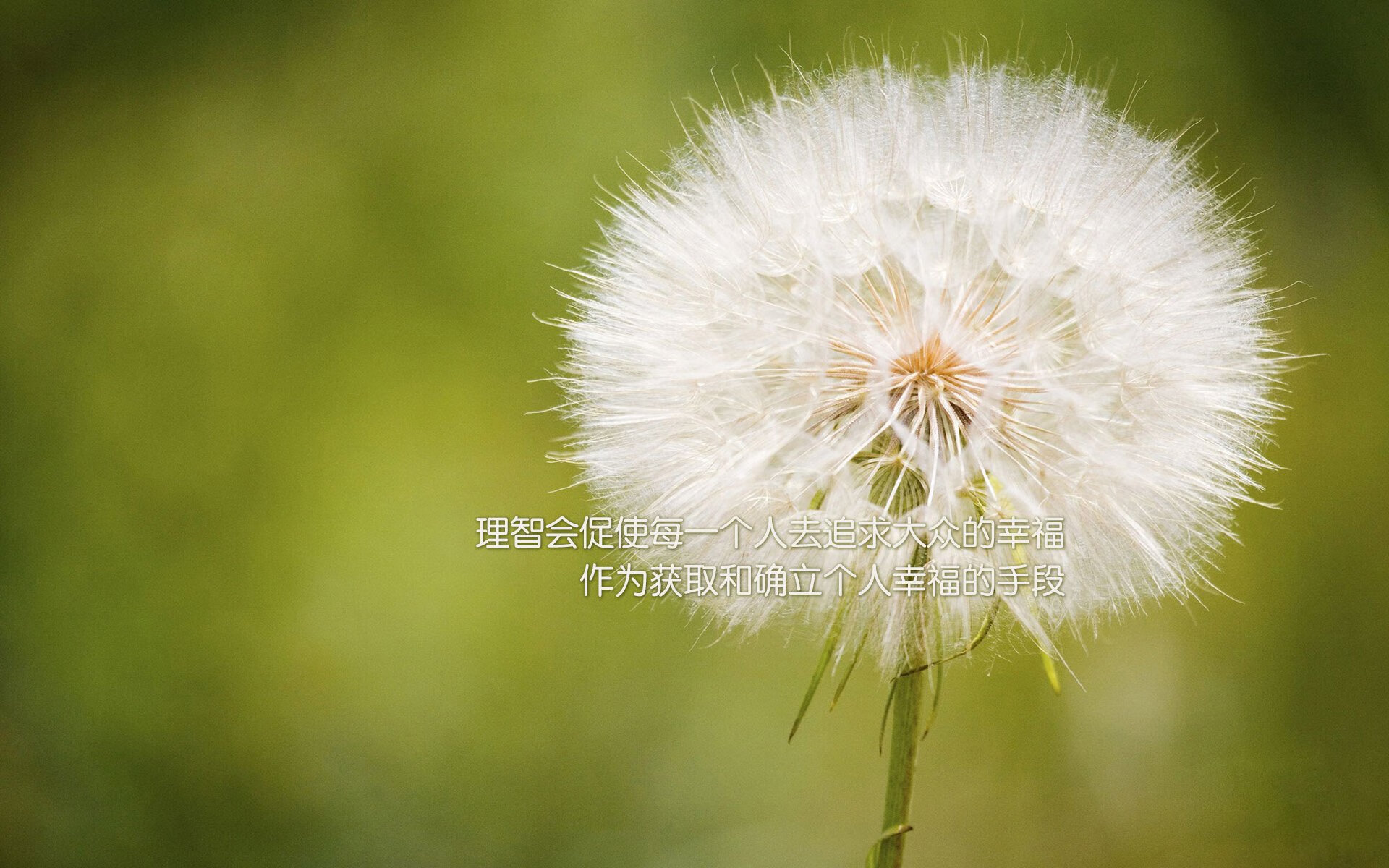 山西男篮重剑无锋轰塌北美堡垒，约基奇一柱擎天使悬念半场终结