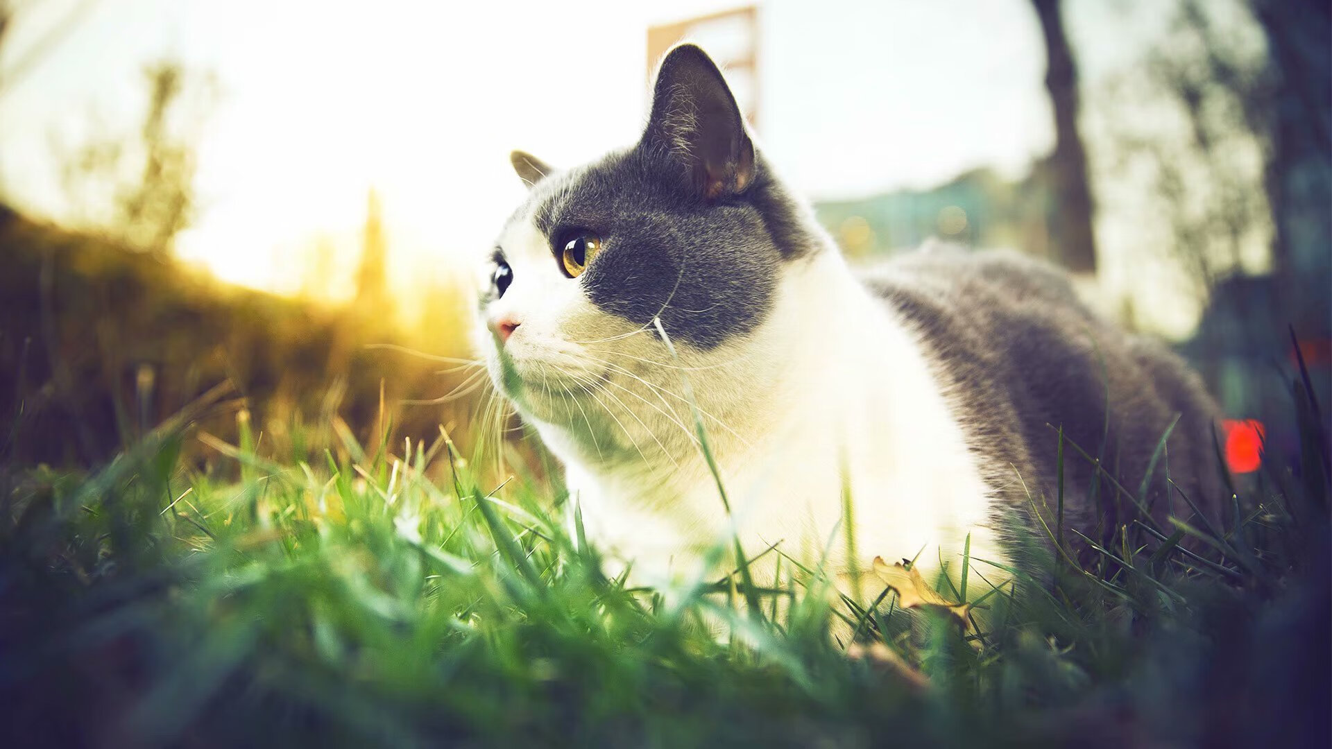 唯一性，终场前108秒，坎特两连斩与摩纳哥的冰岛冻结术