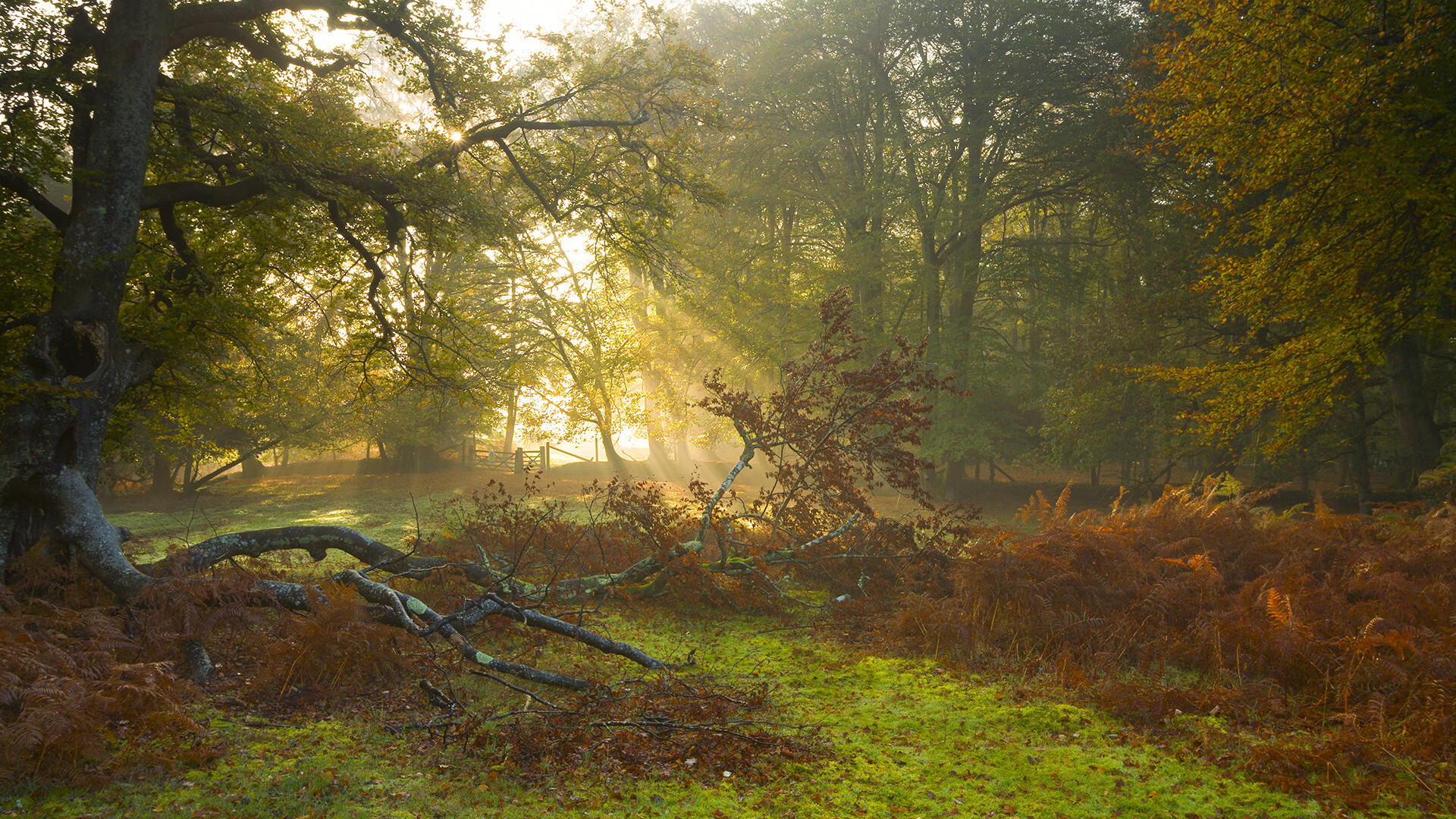 北欧寒刀血洗梦剧场，无名凯塞多如何肢解曼联神话？