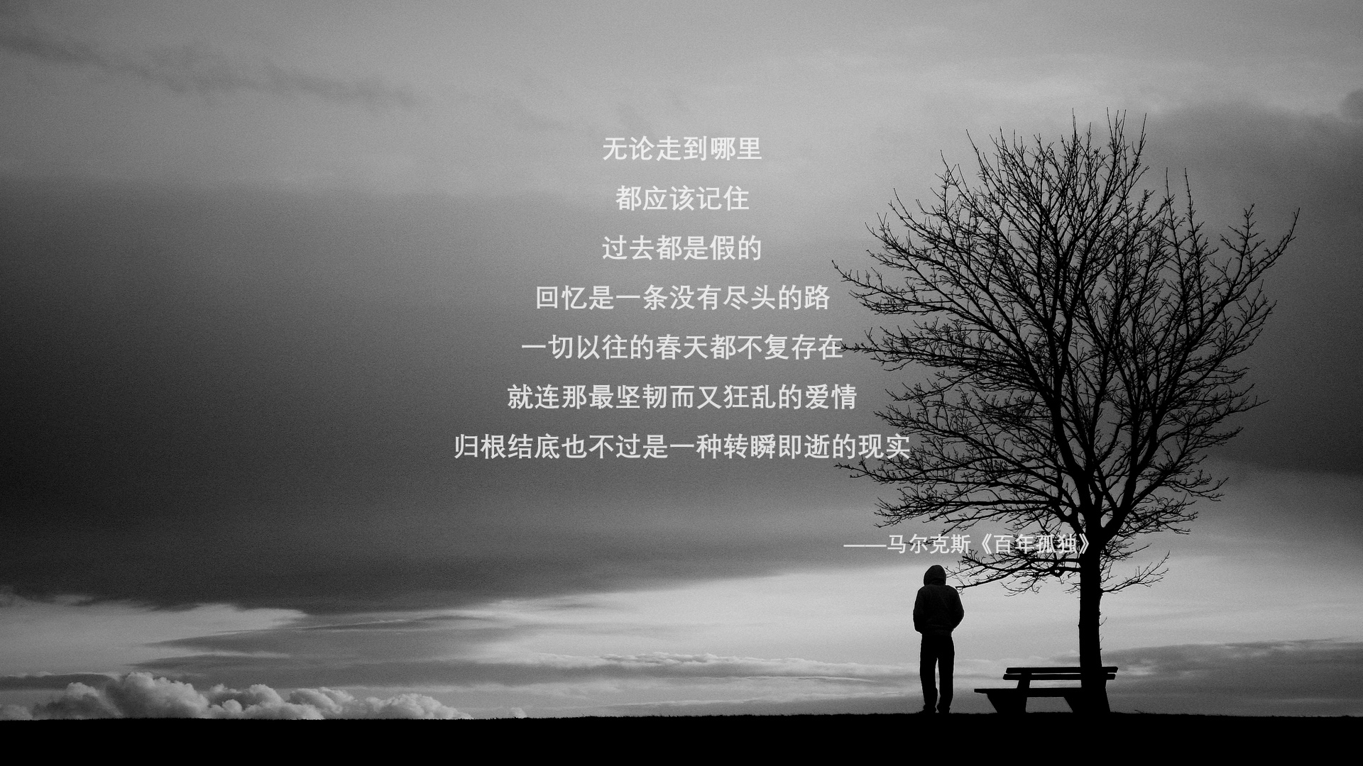 绝杀之夜，2026世界杯豪门对决，智利以灵魂之火点燃迪亚斯的传奇