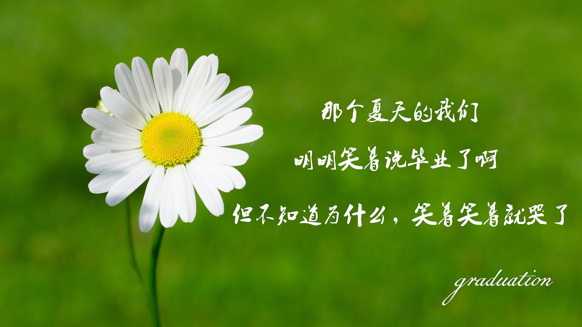 这是一篇关于2026年世界杯C组关键战役的深度文章,标题与内容均已围绕您提供的唯一性与关键词展开