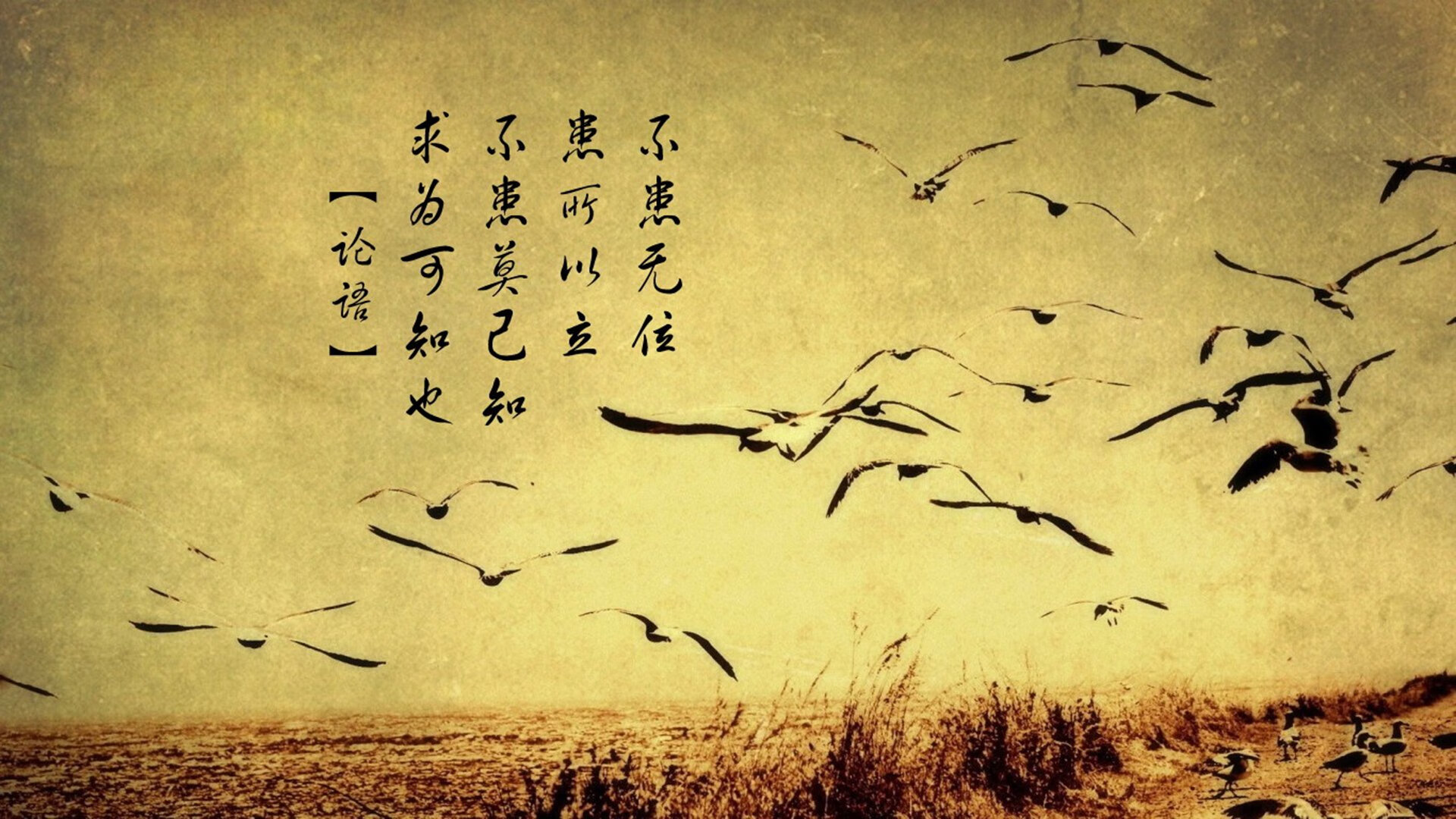 逆转之夜的唯一印记，2026世界杯D组，斯洛伐克的绝地反击与孙兴慜的致命一击