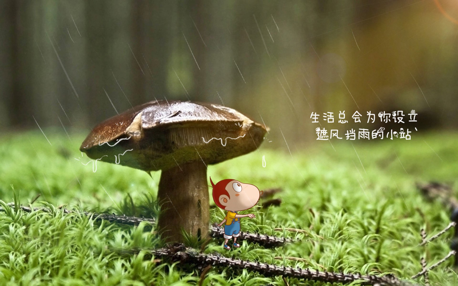 卢卡库的铁血壁垒，2026世界杯H组，印度vs葡萄牙的强硬碰撞与唯一瞬间